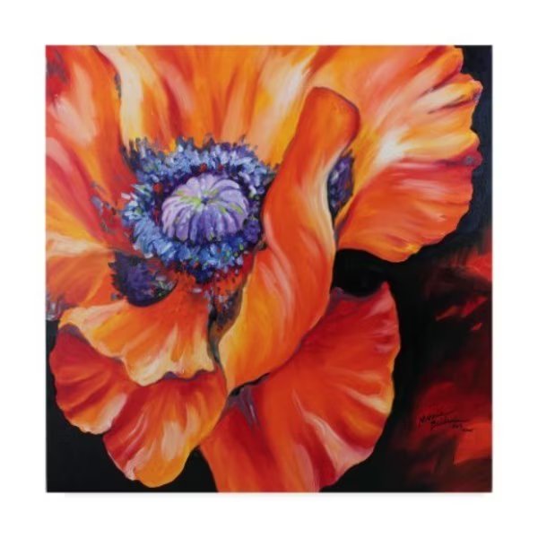 Marcia Baldwin 'Heart Of A Red Poppy' Canvas Art, 18x18, Trademark Fine Art, Mfr#: ALI34628-C1818GG